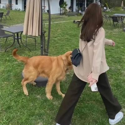 猫王与尼克松